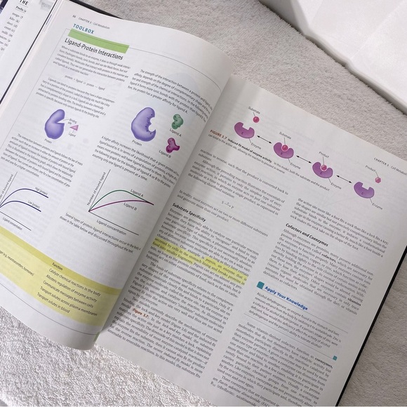 Pearson Principles Of Human Physiology Fourth Edition Hard Cover Textbook - Picture 5 of 11